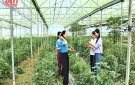 Ứng dụng công nghệ số trong sản xuất nông nghiệp