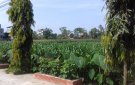 Một số kết quả nổi bật trong thực hiện nhiệm vụ  Quý 1 năm 2018 của xã Thọ Diên