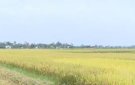 Xã Thọ Diên tập trung chỉ đạo công tác sản xuất năm 2021