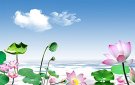 Xã Thọ Diên tổ chức hội nghị Học tập, quán triệt, triển khai  các Nghị quyết Trung ương 7, khóa XII