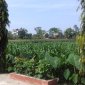 Một số kết quả nổi bật trong thực hiện nhiệm vụ  Quý 1 năm 2018 của xã Thọ Diên