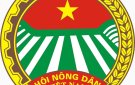 Hội Nông dân xã Thọ Diên phát huy vai trò vận động hội viên nông dân phát triển kinh tế, xây dựng nông thôn mới nâng cao