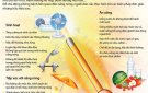 Khuyến cáo phòng bệnh mùa nắng nóng