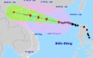 Đóng cửa 4 sân bay để tránh bão Yagi