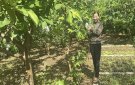 Làm giàu với mô hình kinh tế tổng hợp