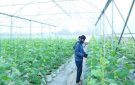 HUYỆN THỌ XUÂN: ĐẨY MẠNH CÔNG TÁC PHÁT TRIỂN KINH TẾ, XÂY DỰNG VĂN HOÁ - XÃ HỘI TRÊN ĐỊA BÀN