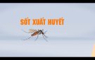 Tuyên truyền phòng chống dịch bệnh sốt xuất huyết