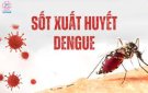 Bài tuyên truyền: Phòng, chống bệnh sốt xuất huyết