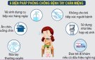 Chủ động phòng, chống bệnh tay chân miệng